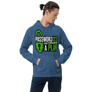 Cybersecurity Geniuses Password123 Is Not A Plan Hoodie Front