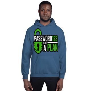 Cybersecurity Geniuses Password123 Is Not A Plan Hoodie Front